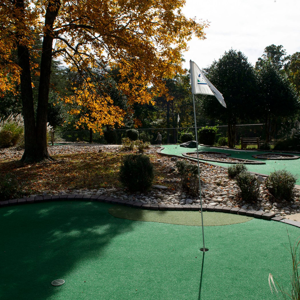 Goblin Golf 1